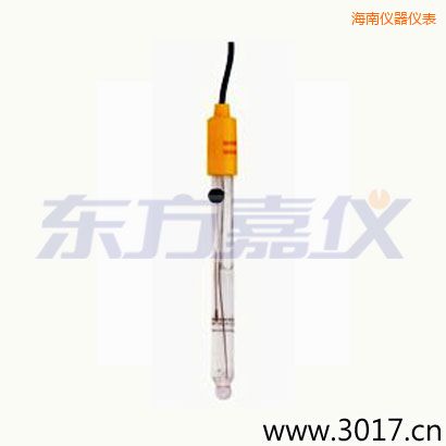 海南可填充玻璃管電極