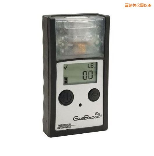 嘉峪關(guān)單一可燃氣體檢測儀