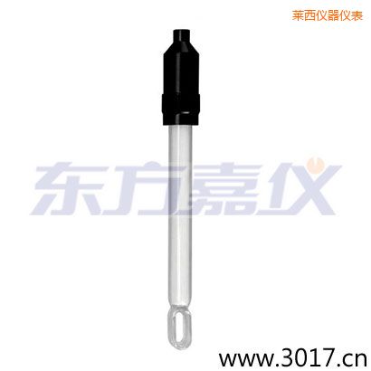 萊西玻璃外殼無溫補(bǔ)兩線電導(dǎo)率電極